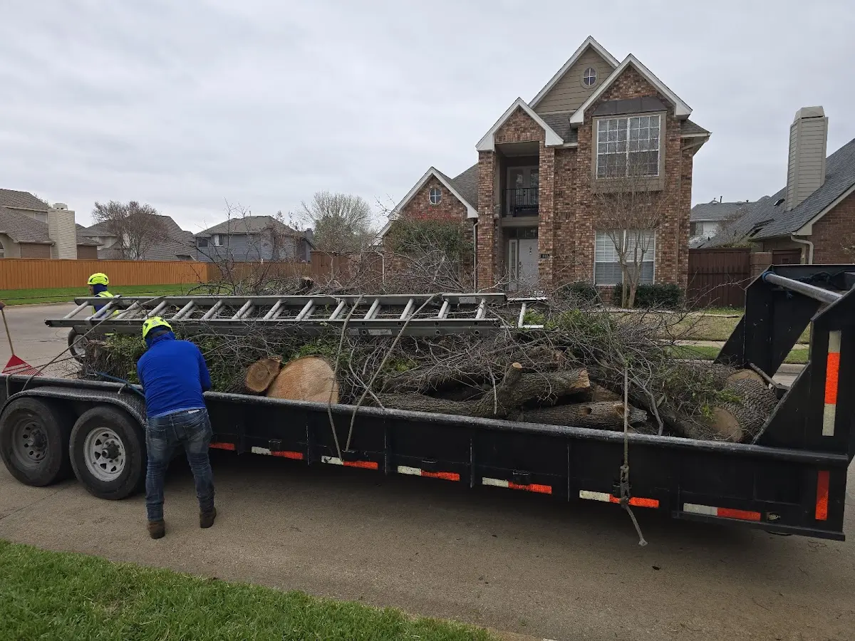 Expert Tree Fertilization with proper safety equipment in Latham